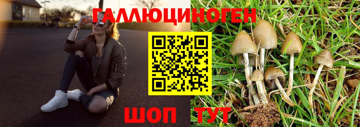 Галлюциногенные грибы Cubensis Барабинск