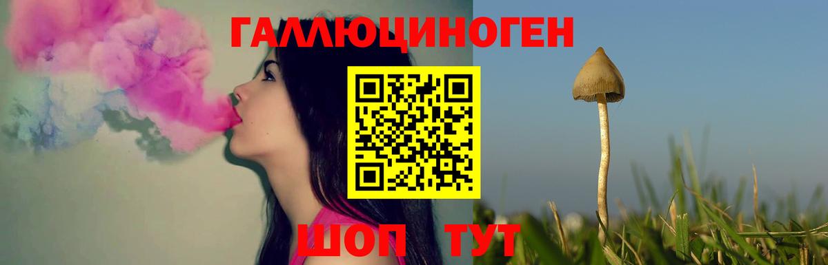 Псилоцибиновые грибы GOLDEN TEACHER  Вход с VPN  Барабинск  Псилоцибиновые грибы GOLDEN TEACHER 